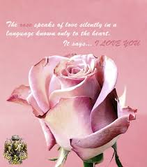 تصوير اصلي را ببينيد