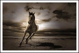 چه‌ند روژيكه...