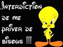 Afficher l'image en taille réelle