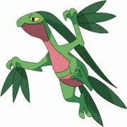 [PokeCommunity.com] R/S/E Monotype Challenge!