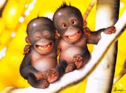 Afficher l'image en taille relle