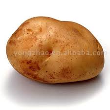 http://t3.gstatic.com/images?q=tbn:eYNX6pdFEmmqRM:http://northphoenixagent.files.wordpress.com/2008/07/potato.jpg