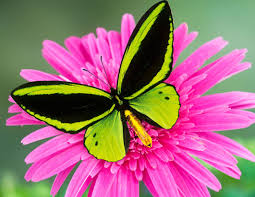 See full size image