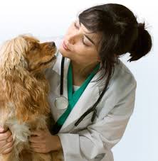 veterinarian-3.jpg