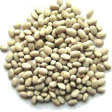 http://t3.gstatic.com/images?q=tbn:ujwjHsQLQJscsM:http://www.gardeningforyou.com/sites/fthorpe/images/Beans%20Haricot.jpg