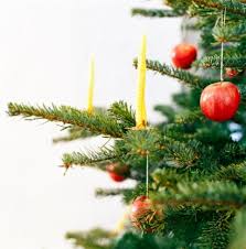 http://t3.gstatic.com/images?q=tbn:vPejvwRfWQpDHM:http://blog.mademoiselle-bio.com/images/sapin%2520noel.jpg