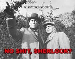no_shit_sherlock.jpg&t=1