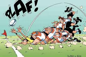 Afficher l'image en taille réelle