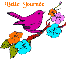 http://t3.gstatic.com/images?q=tbn:2sKH8rGQTKShBM:http://img219.imageshack.us/img219/4742/bellejourneeza7.gif