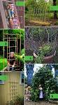 Diy Gardening Ideas | Garden Ideas Picture