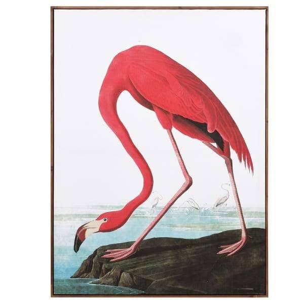 Framed Picture - American Pink Flamingo - 113 x 83 cms