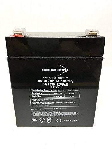 Bright Way Group 12V 5Ah Home Alarm Battery with F2 Terminals // Chamb