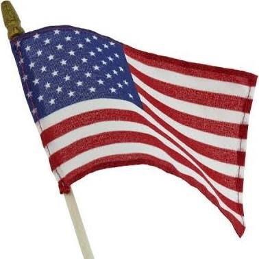 Mini USA Flag | Decor