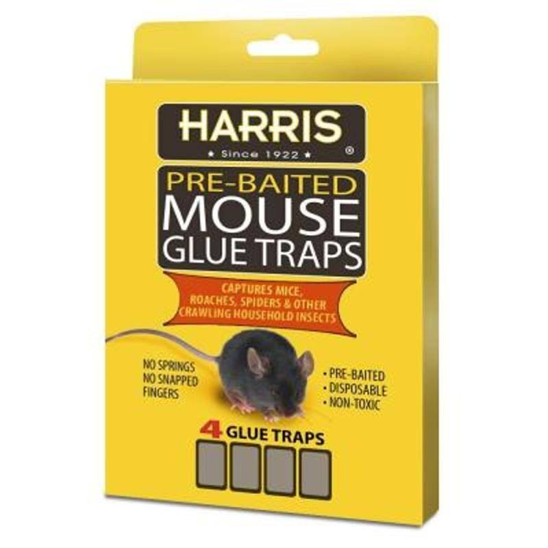 Harris Mouse Glue Traps - 4pk