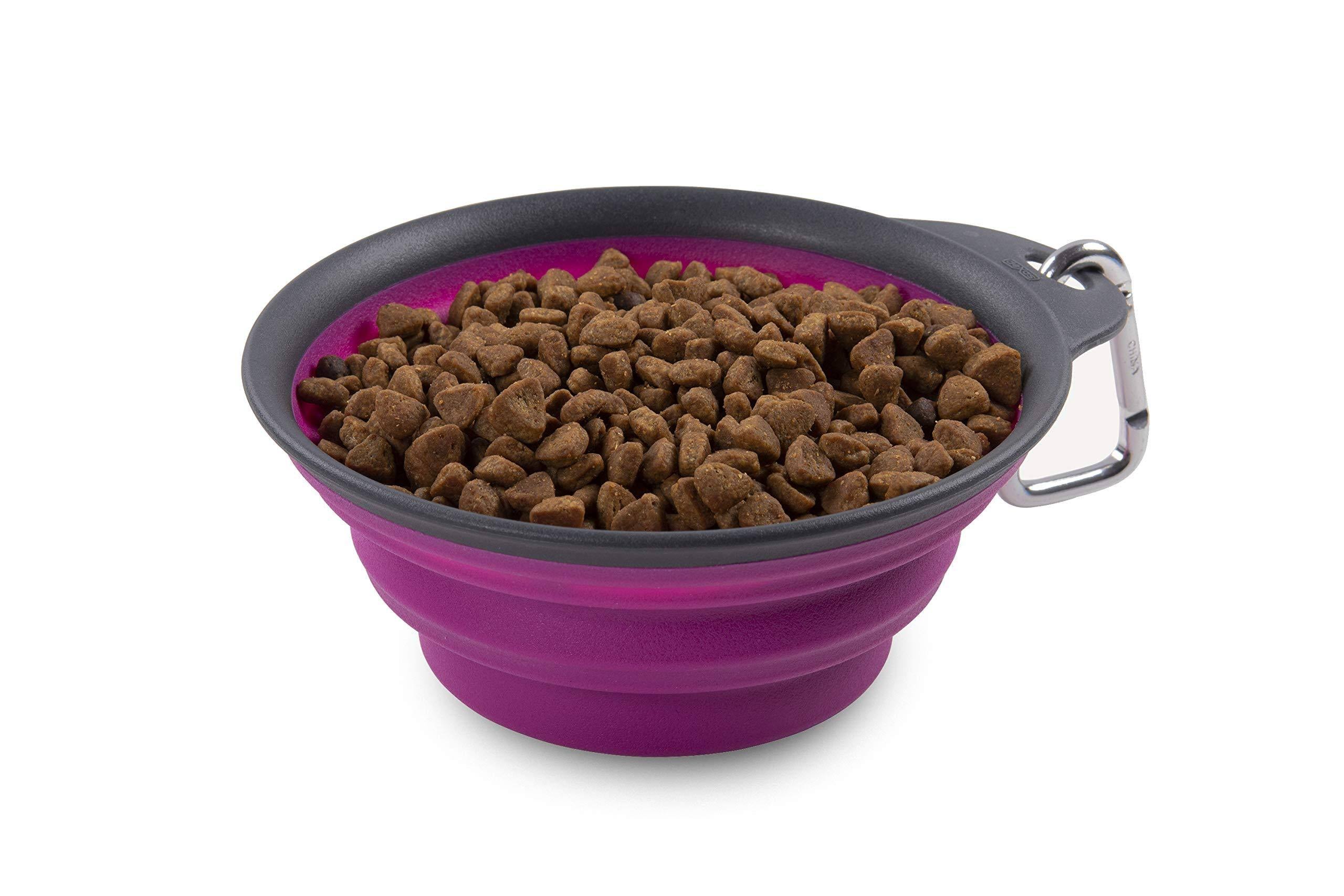 Dexas Pets Collapsible Travel Cup 2 Cup Capacity Fuchsia