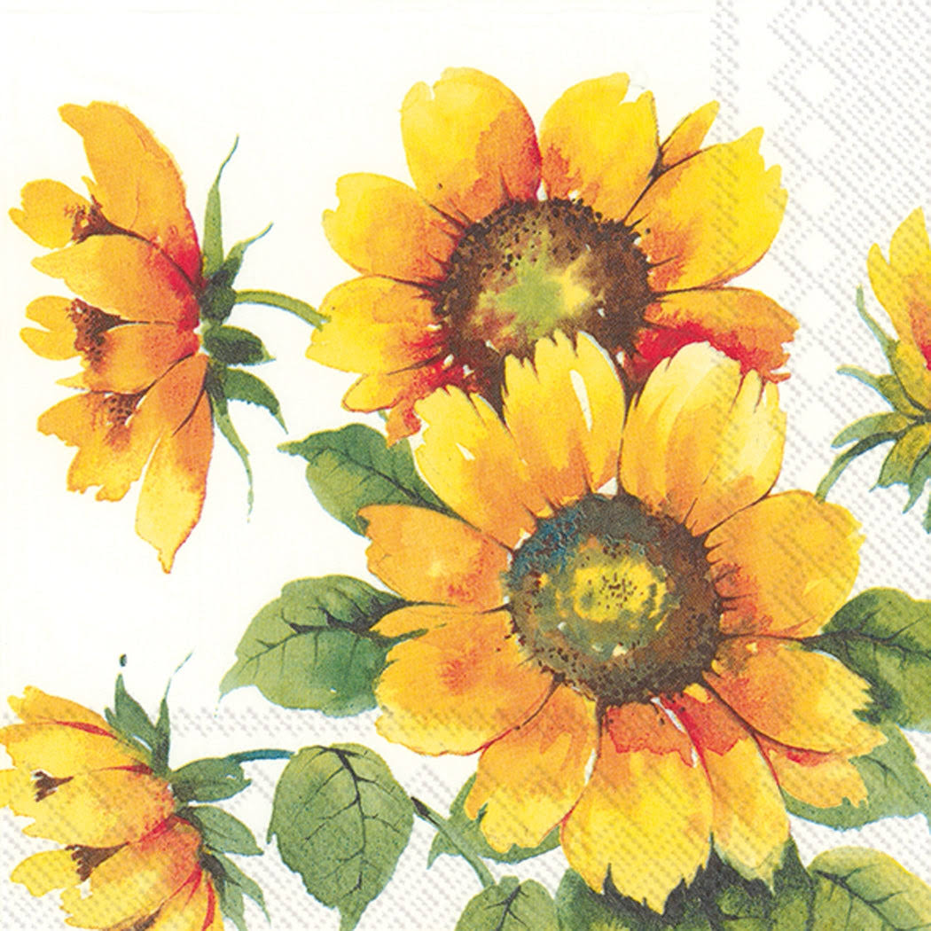 Colourful Sunflowers - Lunch Napkin