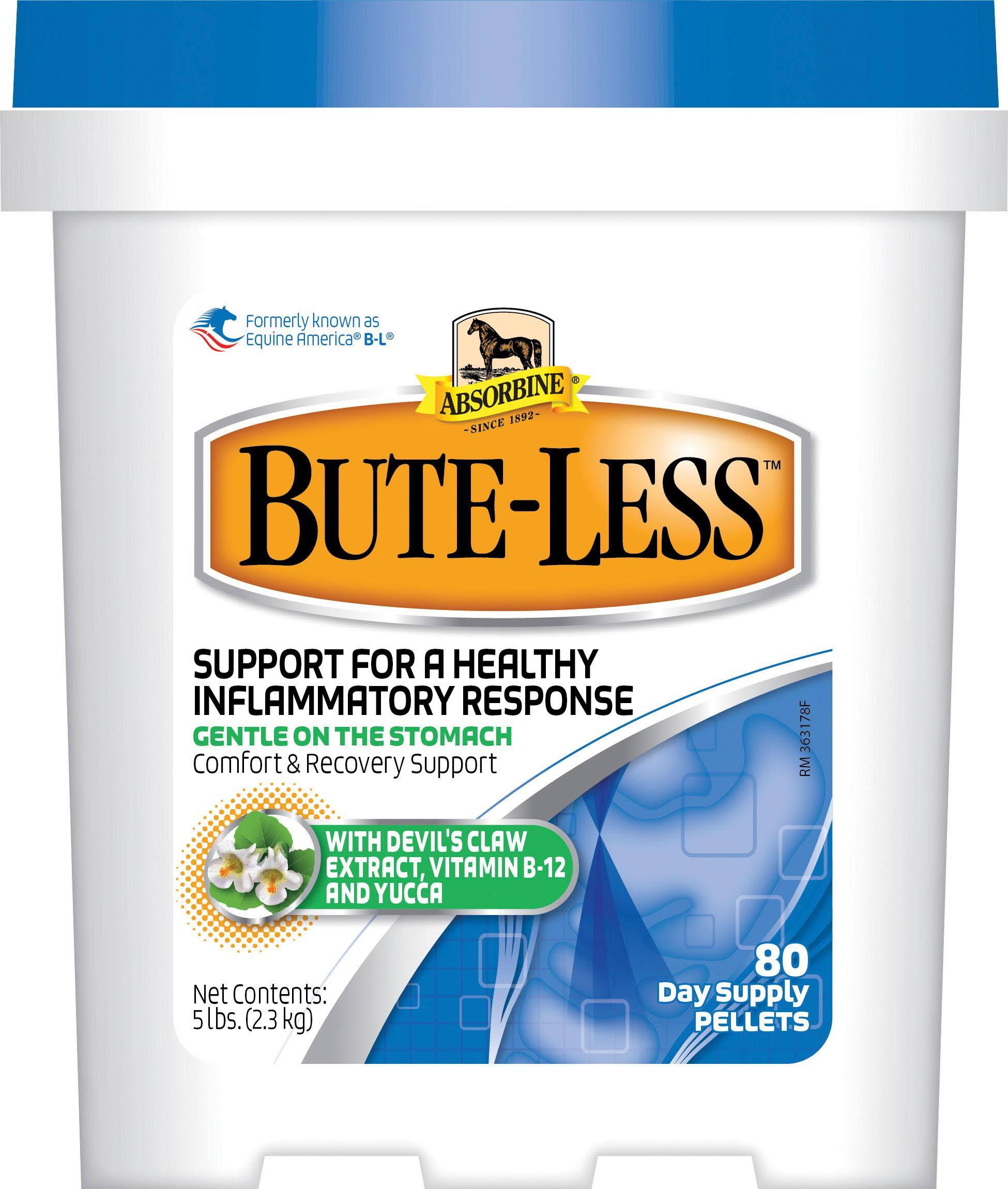 Bute-Less Inflammatory Support - 2lbs
