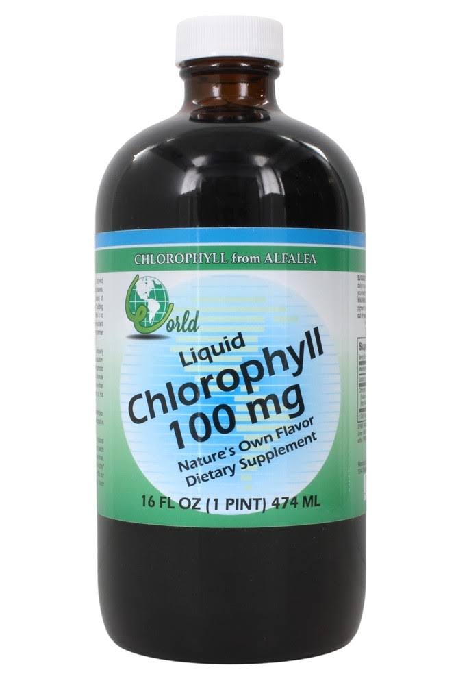 World Organics Liquid Chlorophyll Supplement - 100 mg, 16oz