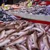 Trabzondaki tezgahlarda balık çeşitleri arttı