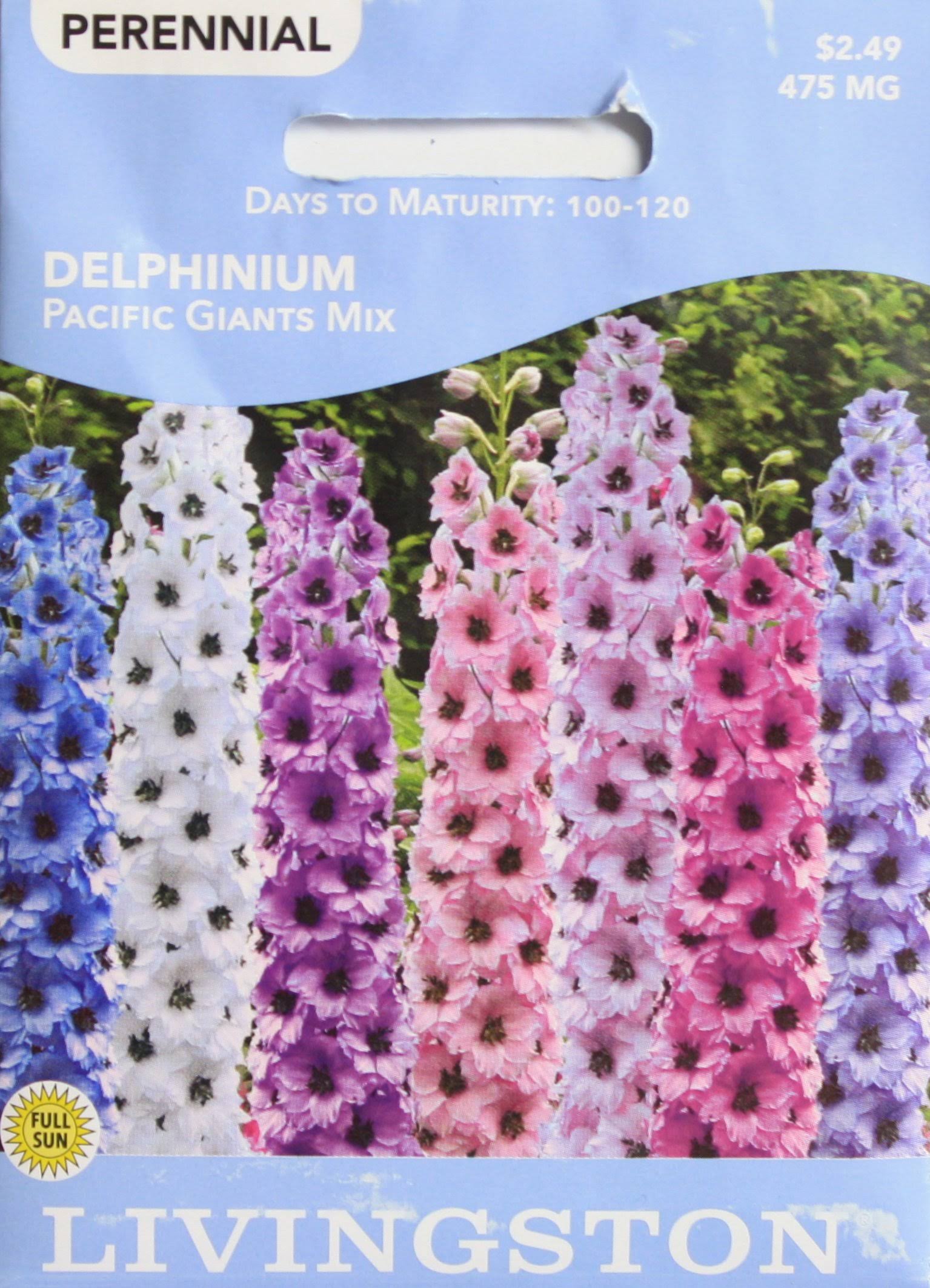Livingston Seed Delphinium Pacific Giant MX