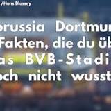 Borussia Dortmund: Star bietet sich selbst an