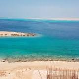Austrian woman dies after shark attack off Egypt's Red Sea coast