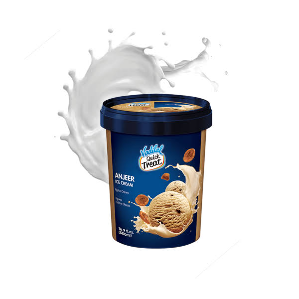 Vadilal Anjeer Ice Cream - 500ml