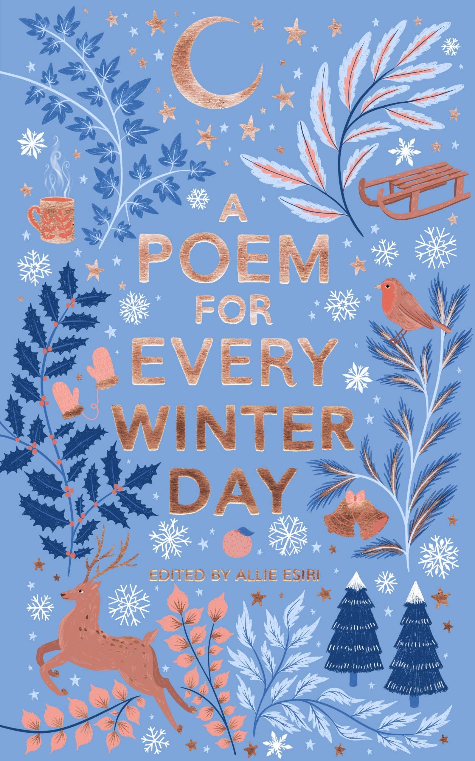 A Poem for Every Winter Day by Allie Esiri
