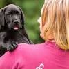Shortage of hearing dog volunteers in North East says charity