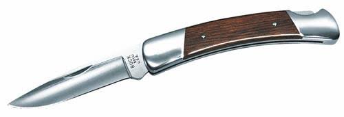 Buck 501 Squire Lockback Folding Knife