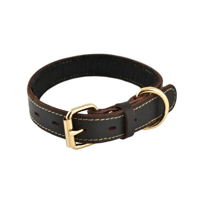 Tall Tails 88217079 CC Leather Dog Collar - Medium