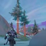 Fortnite Timber Pines Locations: How to Knock Down Timber Pines With a Ripsaw Launcher