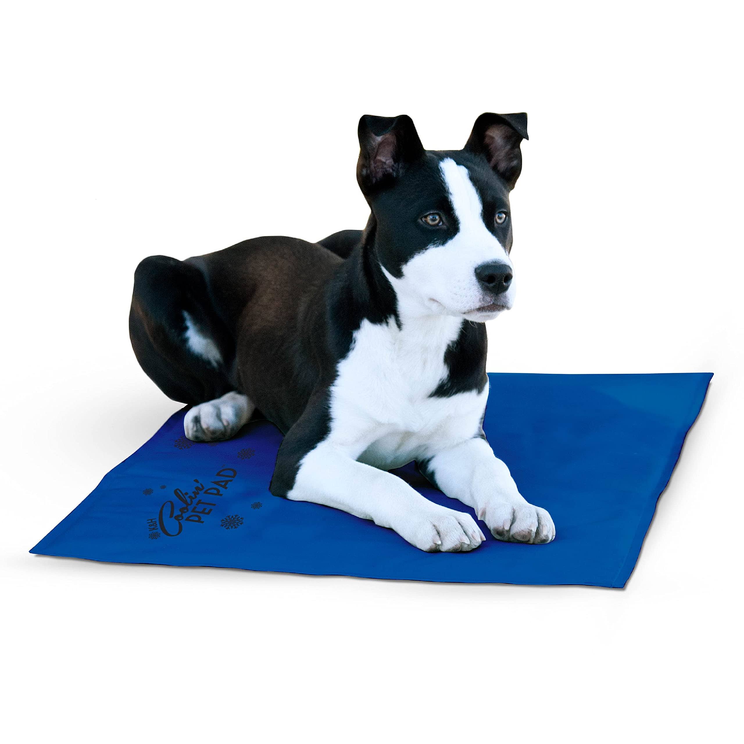 K and H Manufacturing Coolin' Pet Pad - Large, Blue, 20" x 36"