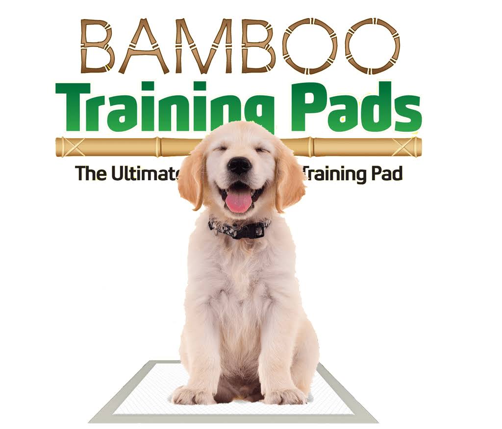 Bamboo Training Pads 50 Count 3 Sap