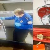 Cat found in bag going through TSA security at Kennedy Airport