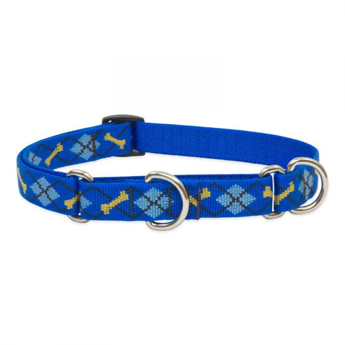 Lupine Dapper Dog Martingale Combo Dog Collar - 3/4" x 10-14"