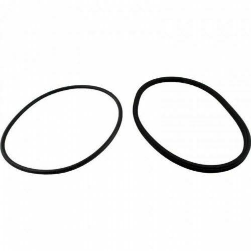 Jandy Zodiac Lid Seal and Lid O Ring Replacement