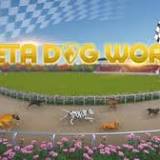Meta Dog World Innovates Dog Racing Betting Industry Through Blockchain Technology