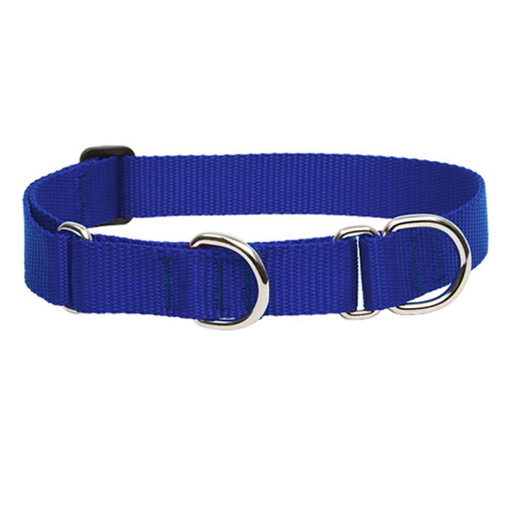 LupinePet Basics Martingale Dog Collar - 1"x15-22", Blue