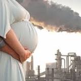 Toxic air particles found in organs of unborn babies: Study