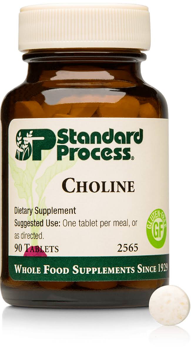Standard Process Choline Supplement - 90 Tablets