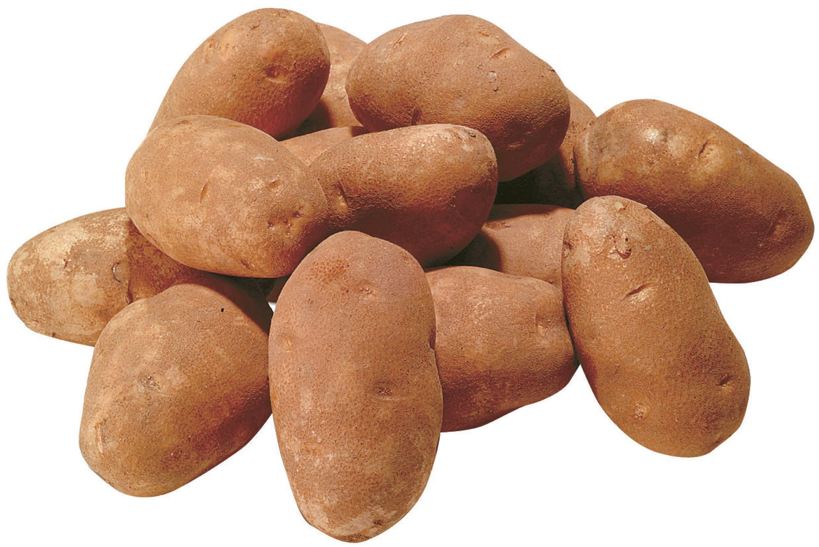 Mr Tasty Potatoes, Russet Baking - 10 lb