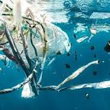 Plastic Pollution in the Ocean May Harbor Novel Antibiotics