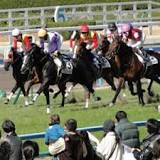 ホープフルステークス, 競馬の競走格付け, 予想, 人気, 競走馬の血統, 日本中央競馬会