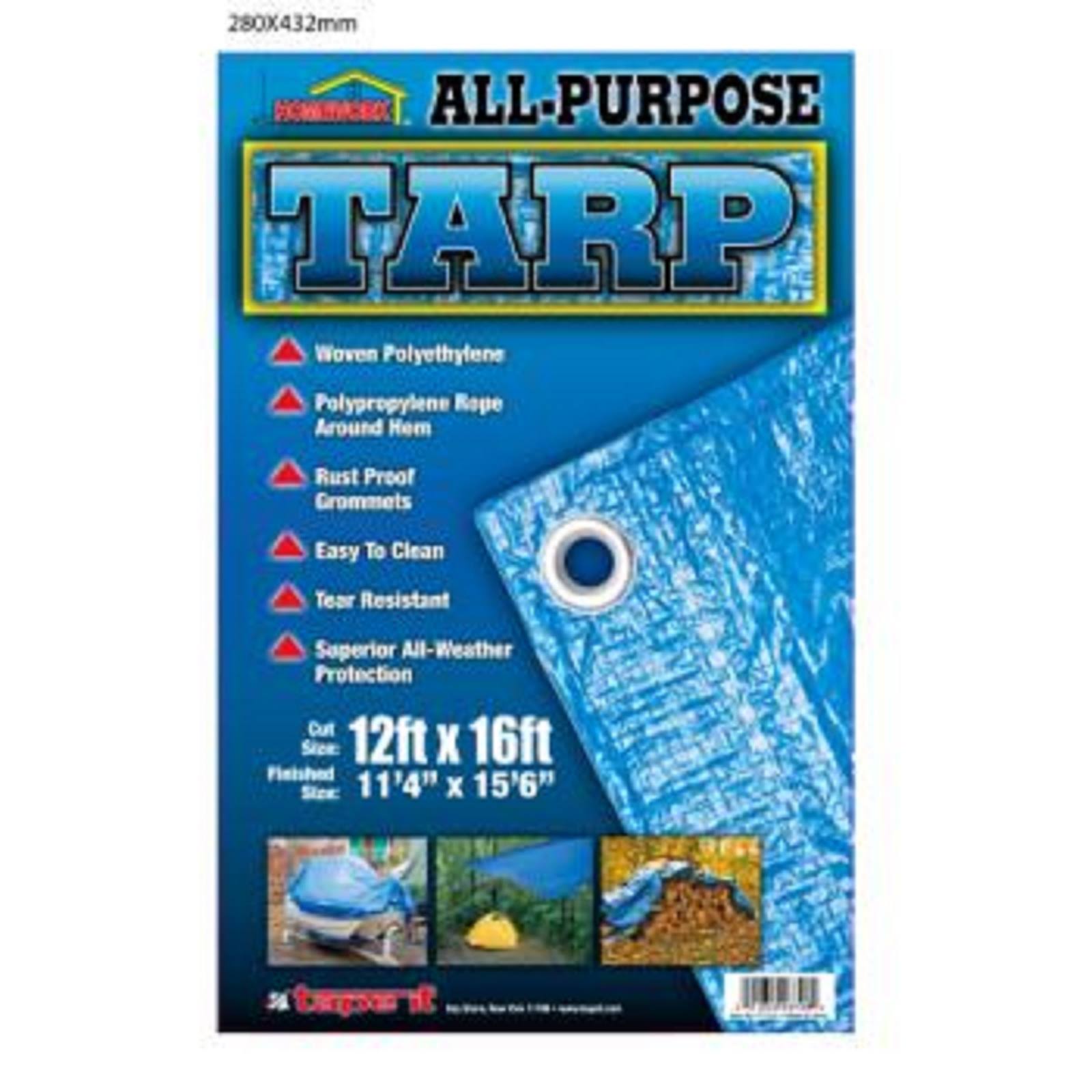Tape-It 479095 Polyethylene Blue Tarp - 12 x 16 ft. - Case of 10
