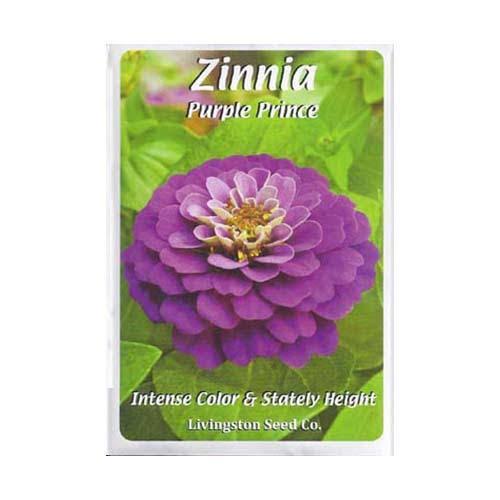 Purple Prince Zinnia Seeds - 1.5 Grams