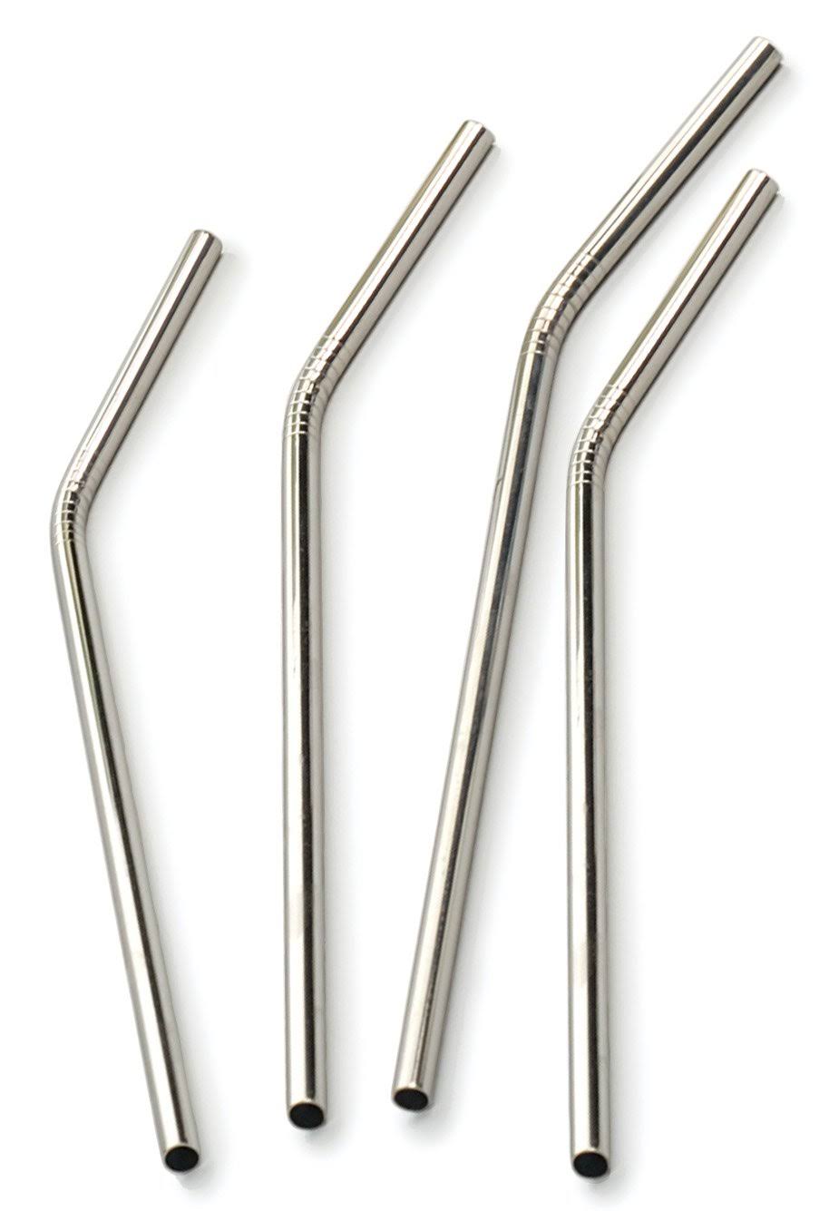Danesco - Set of 4 Stainless Steel Straws
