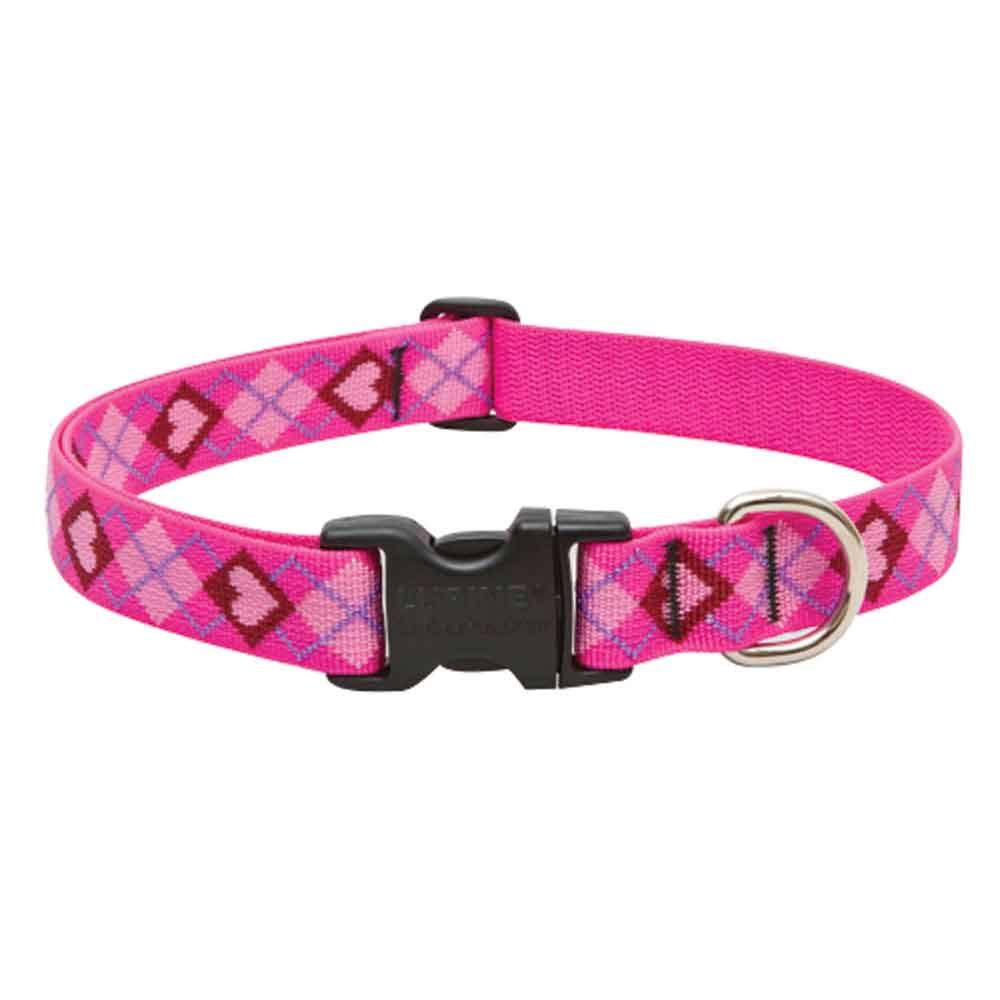 Lupine Puppy Love Patterned Adjustable Dog Collar - for Large Dogs, 1" x 16" to 28"