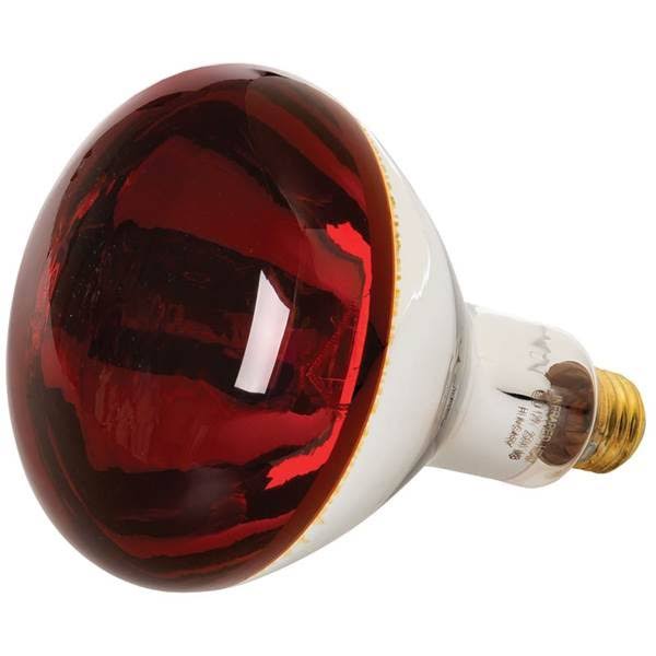GE Lighting 37771 R40 Heat Lamp - Red, 250W