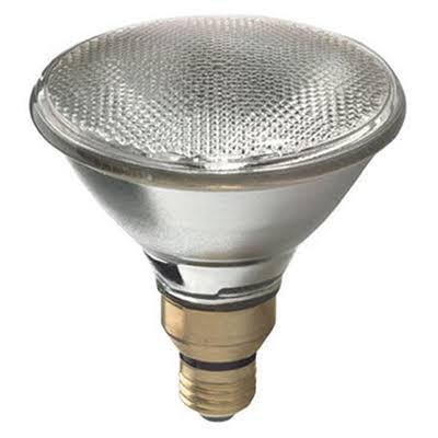 G E Lighting 63202 Flood Light Bulb - Halogen, Indoor/Outdoor Par 38, 60W